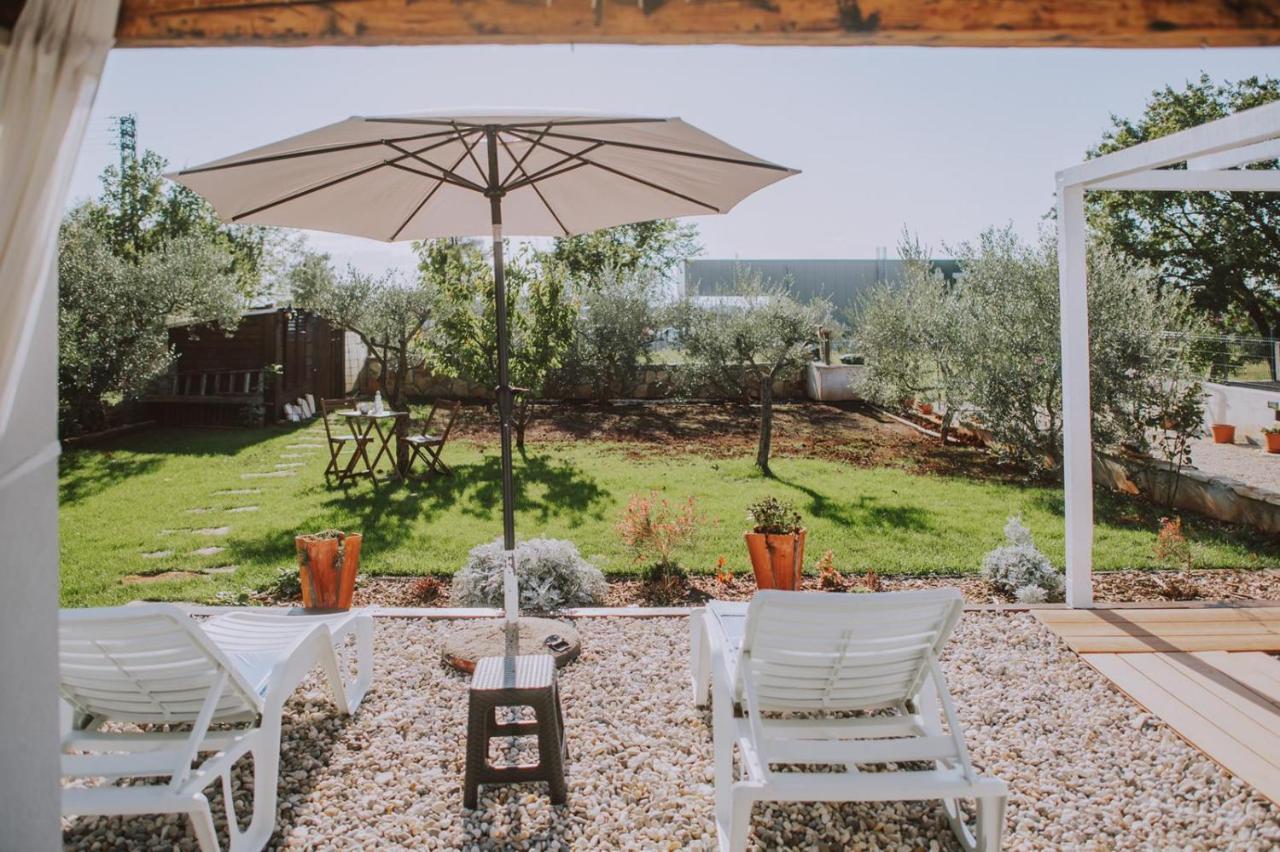 Villa Molo Novigrad Istria エクステリア 写真