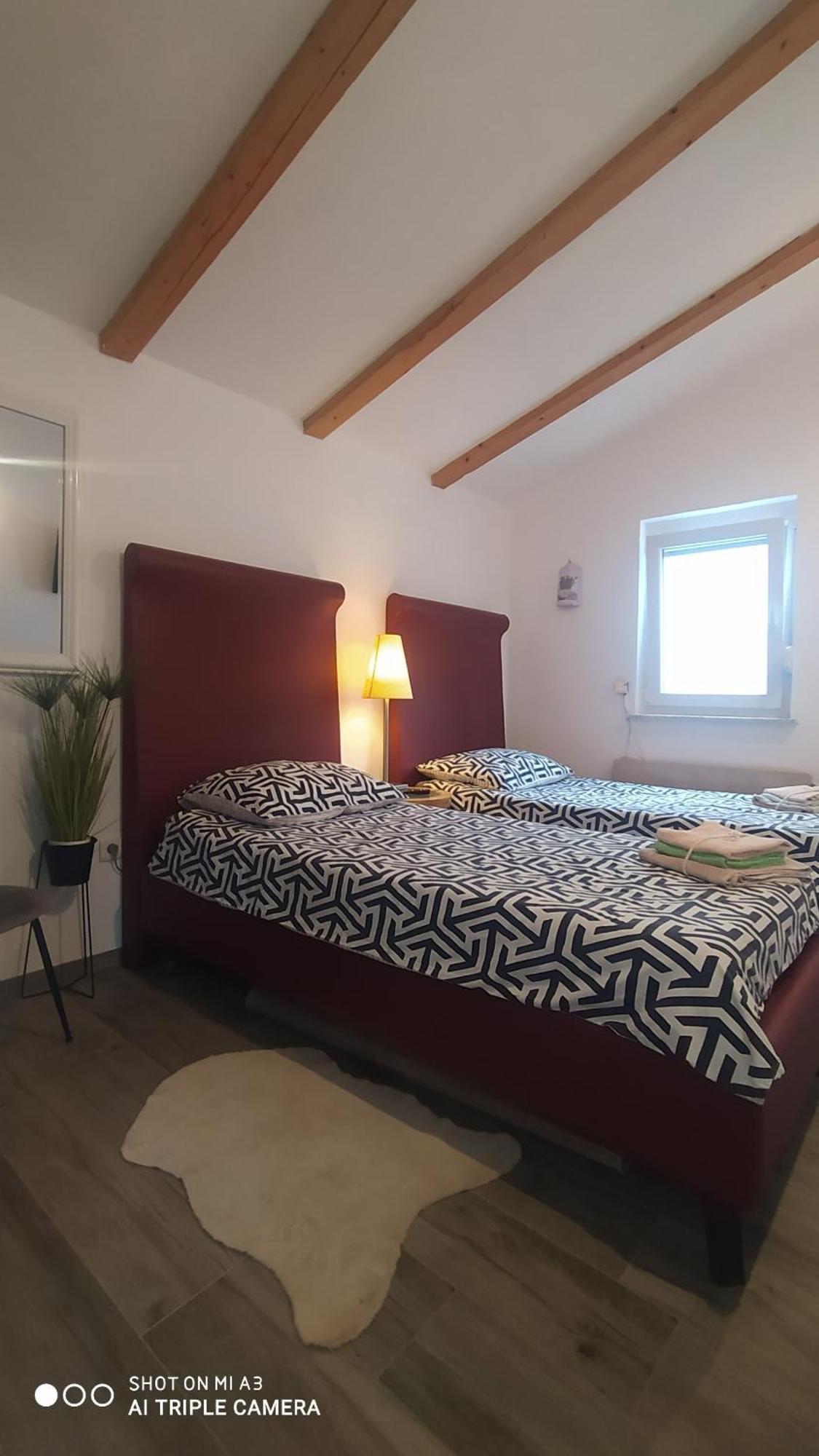 Villa Molo Novigrad Istria エクステリア 写真
